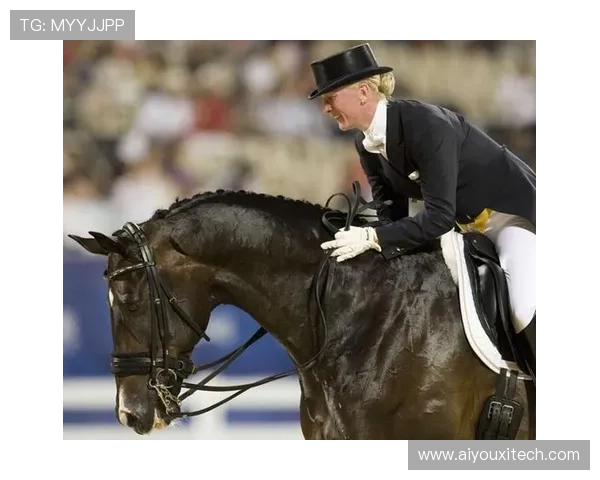 世界马术锦标赛观众着装优雅，成时尚盛会